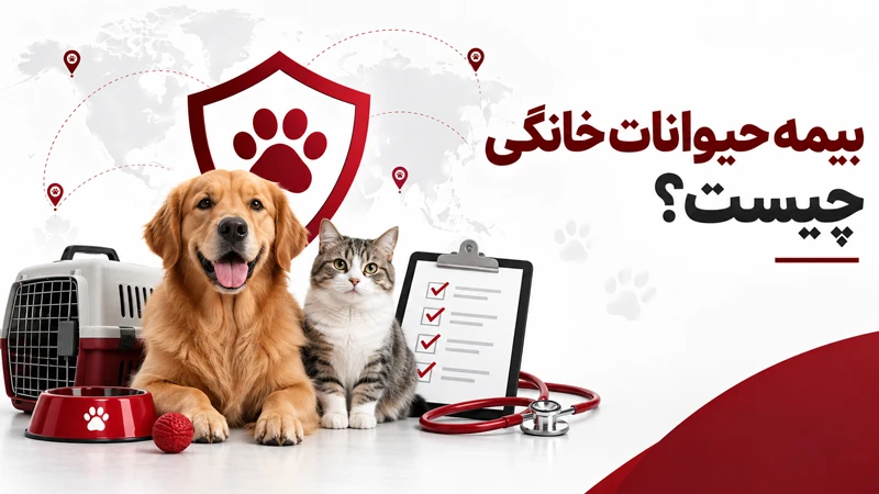 بیمه حیوانات خانگی چیست؟