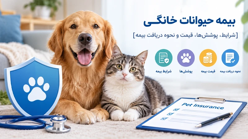 بیمه حیوانات خانگی