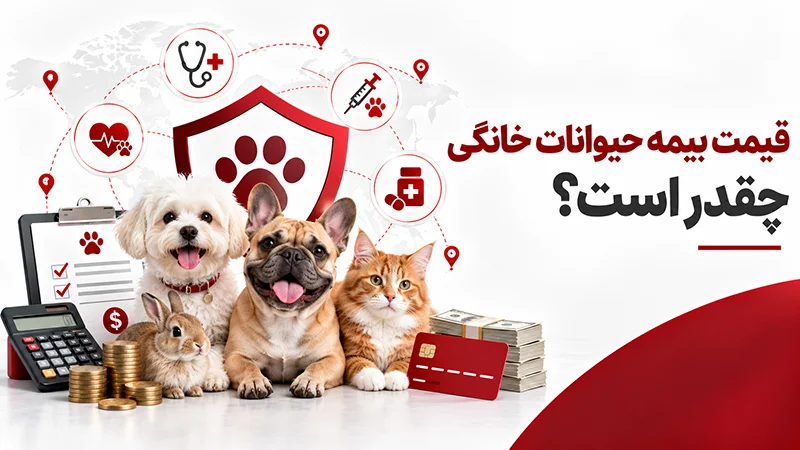 قیمت بیمه حیوانات خانگی
