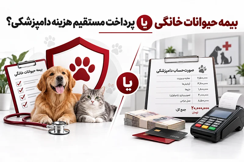 بیمه حیوانات خانگی یا پرداخت مستقیم هزینه دامپزشکی؟